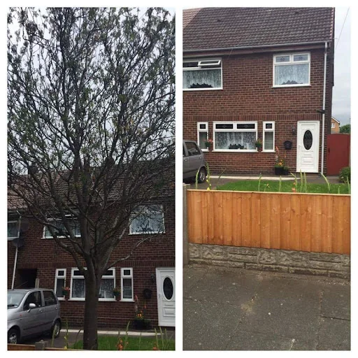 Tree Care &amp; Landscaping photo 1