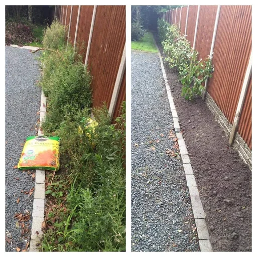 Tree Care &amp; Landscaping photo 4