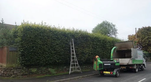 A1 Tree and Garden Services photo 2