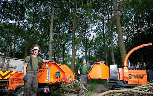 A1 Tree and Garden Services photo 3