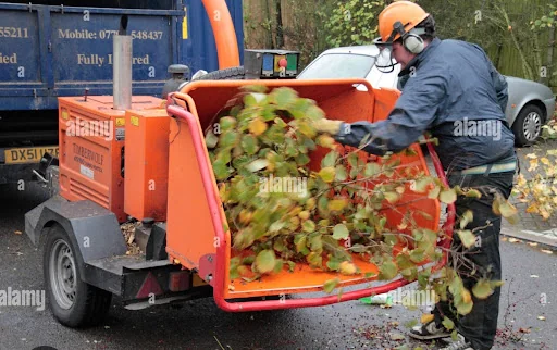 A1 Tree and Garden Services photo 5