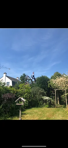 A1 Tree and Garden Services photo 7