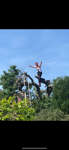 A1 Tree and Garden Services photo 8