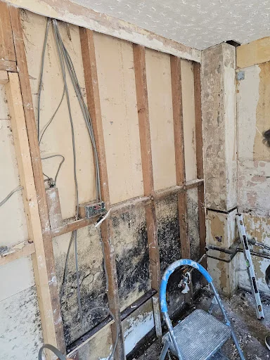 MCR Smart Decorators &amp; Building Services photo 1