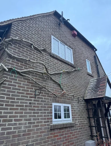 Precision Pointing photo 8