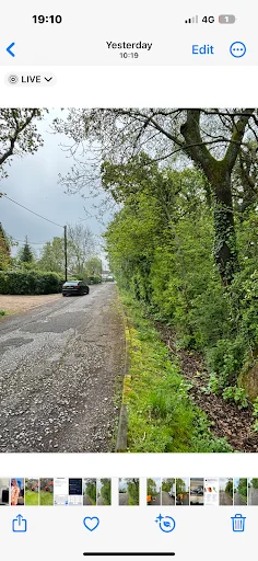 The Tree Fellowes photo 1