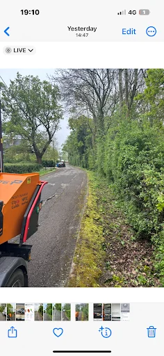 The Tree Fellowes photo 2