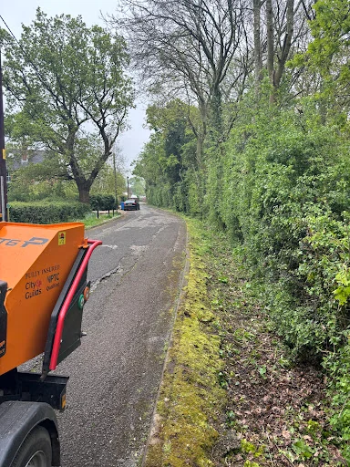 The Tree Fellowes photo 3