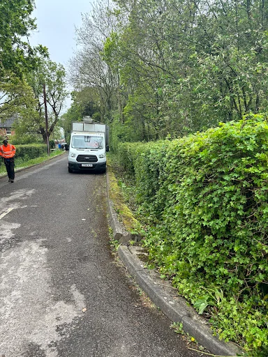 The Tree Fellowes photo 4