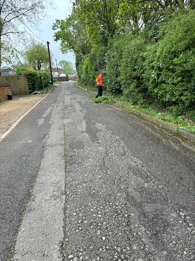 The Tree Fellowes photo 5