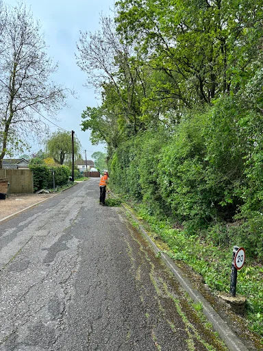 The Tree Fellowes photo 6