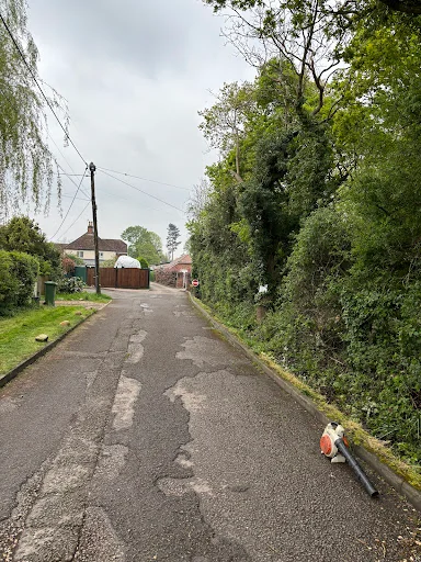 The Tree Fellowes photo 7