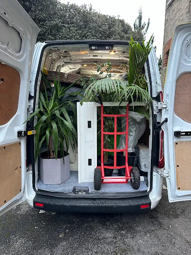 Denis Man and Van photo 1