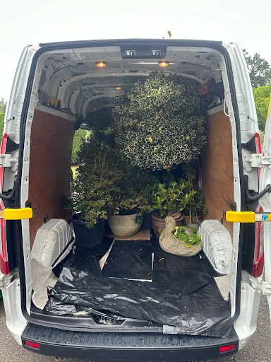 Denis Man and Van photo 2