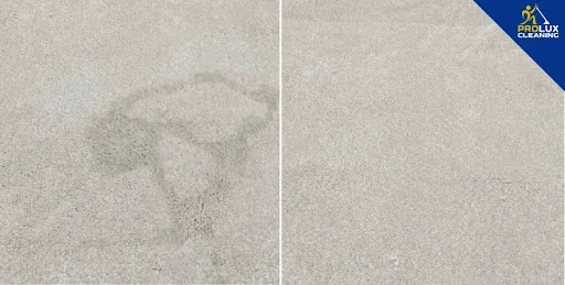 Prolux Cleaning LTD photo 2