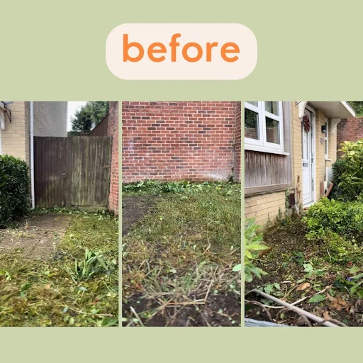 Bassett &amp; Partners Ltd photo 2