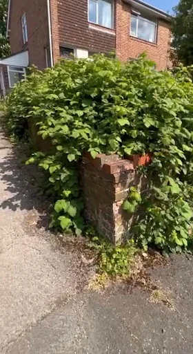 Bassett &amp; Partners Ltd photo 5