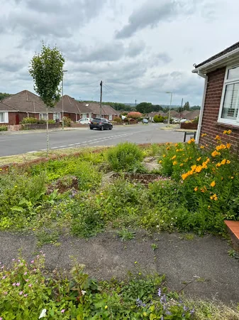 Bassett &amp; Partners Ltd photo 6