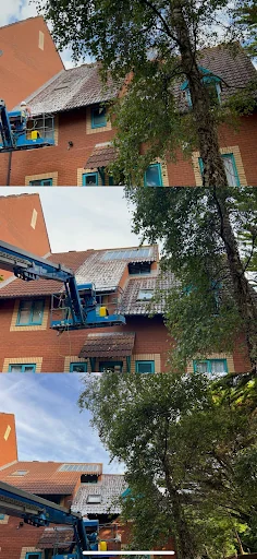 Eagle Exterior Cleaning LTD photo 4