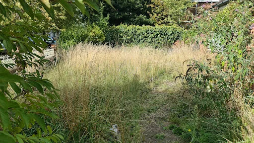 Fantastic Gardeners Twickenham photo 7