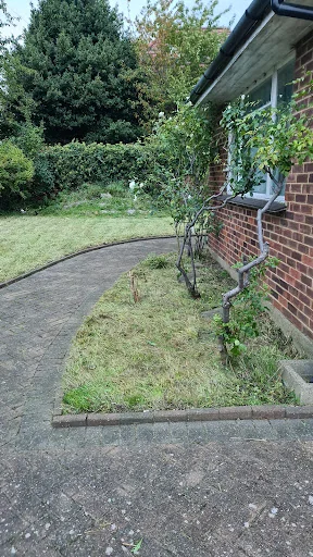 Fantastic Gardeners Twickenham photo 8