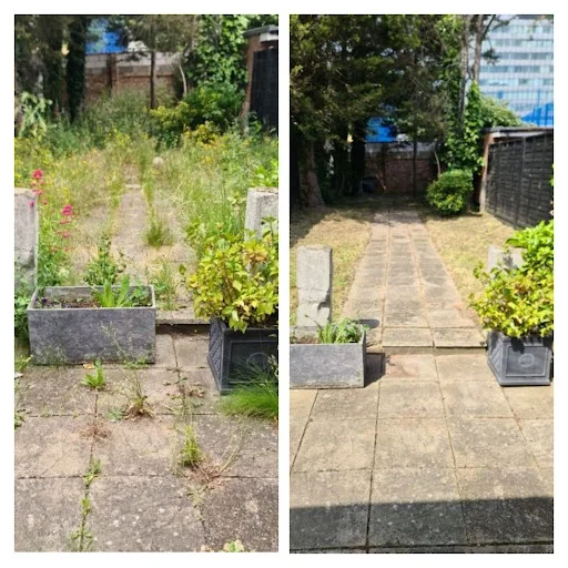 Fantastic Gardeners Slough photo 3