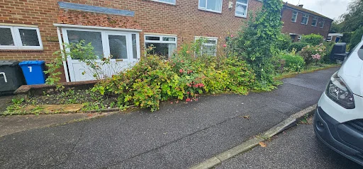 GreenGreenGrass photo 3