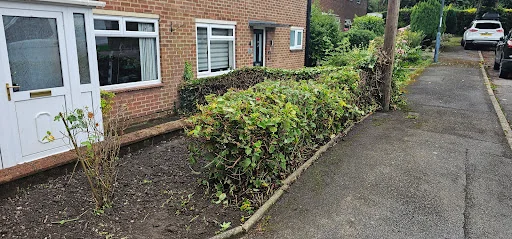 GreenGreenGrass photo 4