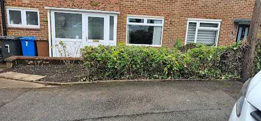 GreenGreenGrass photo 5