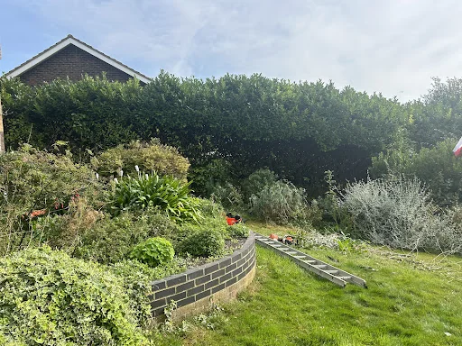 Boyle Brothers Tree Services photo 1