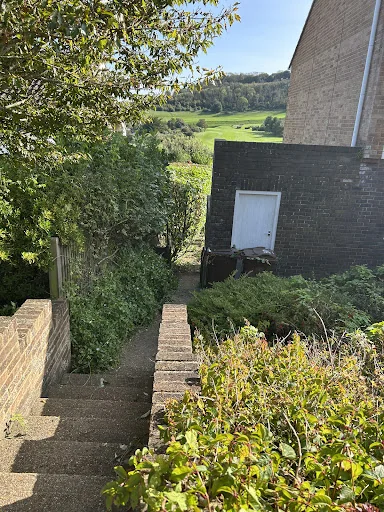 Boyle Brothers Tree Services photo 4