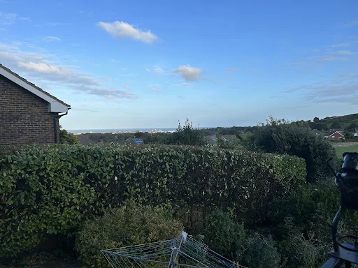 Boyle Brothers Tree Services photo 7