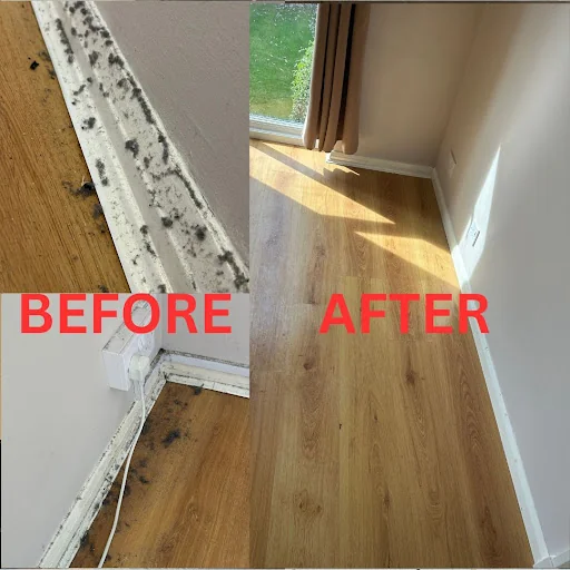 Don’s Cleaning Solutions Ltd photo 5