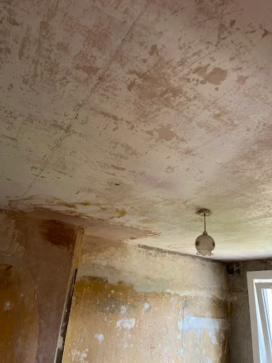 Morrison Plastering Services photo 5