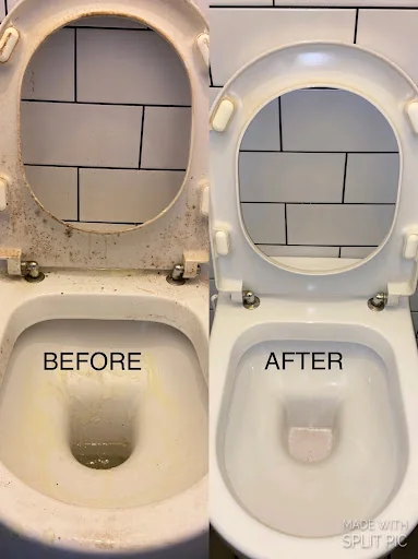 Miss Mophead photo 1