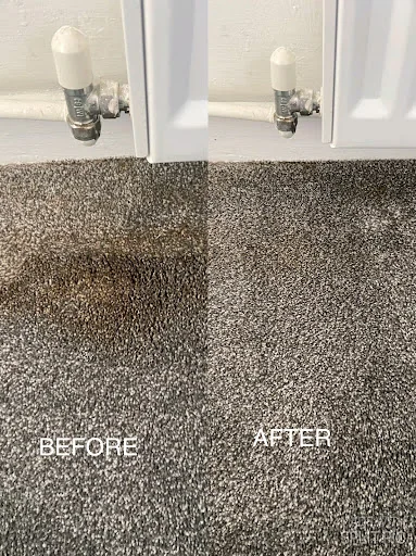 Miss Mophead photo 3