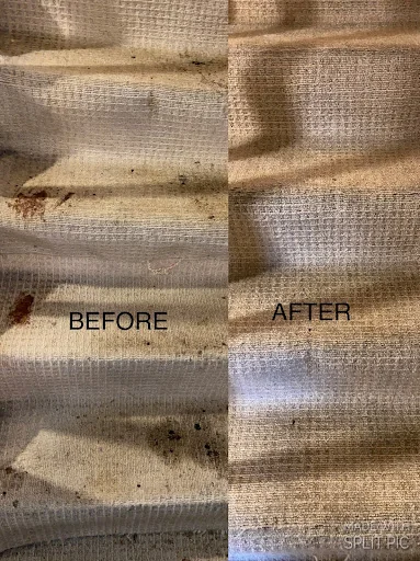 Miss Mophead photo 6