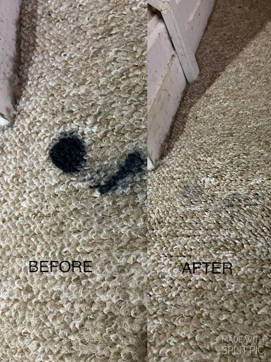 Miss Mophead photo 7