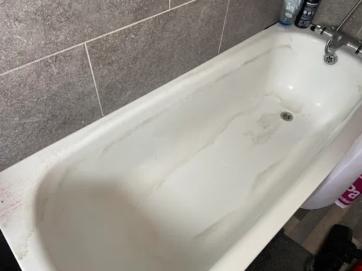 Miss Mophead photo 8