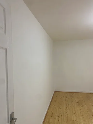 Frank Painting Services photo 1