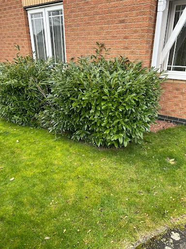 M&amp;L Garden Services photo 1