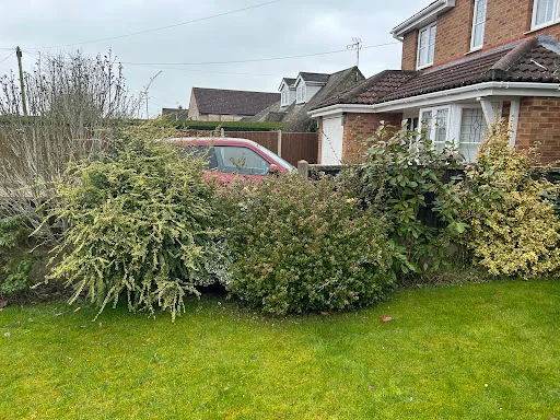 M&amp;L Garden Services photo 2