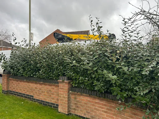 M&amp;L Garden Services photo 3