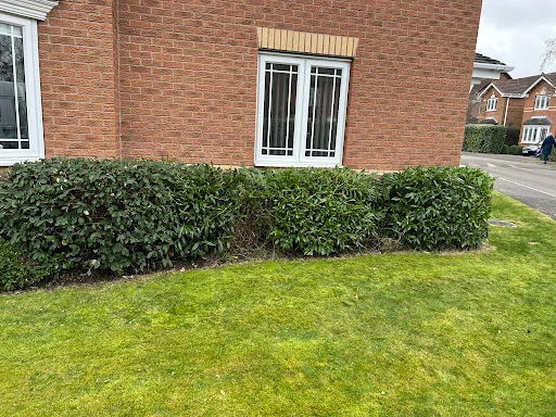 M&amp;L Garden Services photo 4