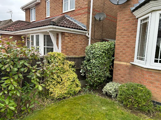 M&amp;L Garden Services photo 5