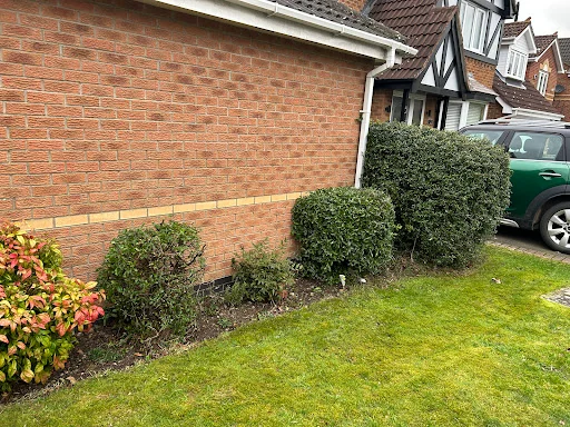 M&amp;L Garden Services photo 6