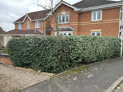 M&amp;L Garden Services photo 8