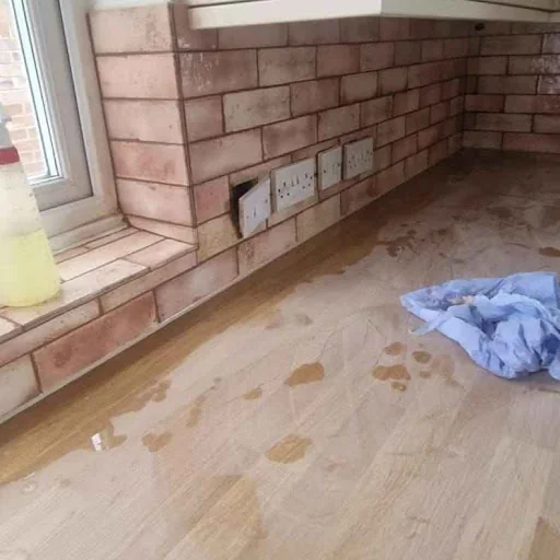 Alexandru Geroc photo 3