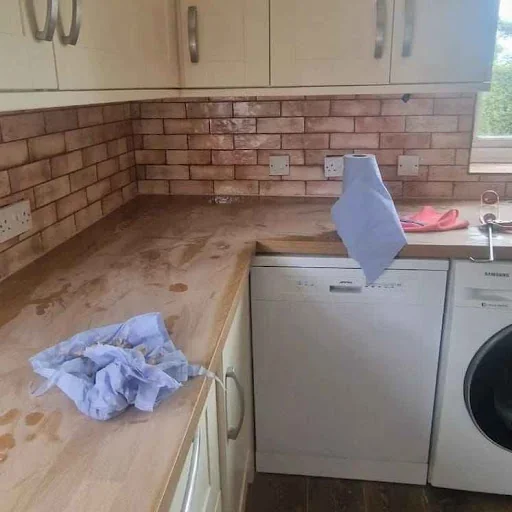 Alexandru Geroc photo 4