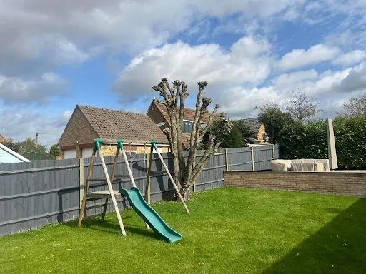 Elmwood Tree services photo 7